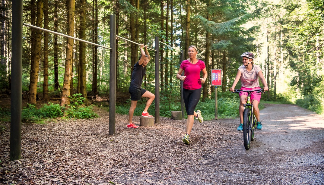 Eine Frau joggt, eine fährt Velo und ein Mann hängt an einer Klimmzugstange im Wald auf dem BärnParcours