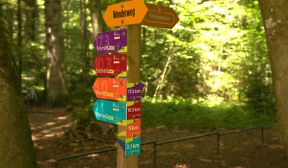 Wegweiser im Bremgartenwald für BremerLoop und BärnParcours