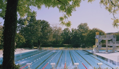 50m-Becken mit Sprungturm im Freibad Wyler, im Vordergrund ein Baum