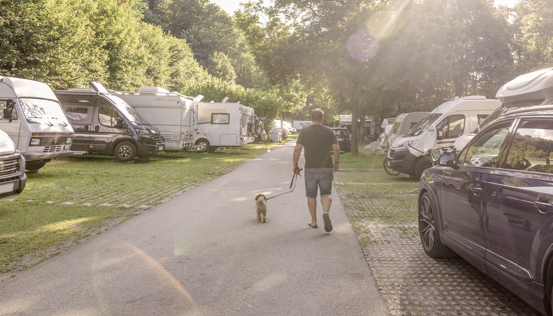 Mann mit Hund an der Leine geht auf dem asphaltierten Strässchen zwischen den Stellplätzen auf dem Camping Eichholz