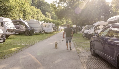 Mann mit Hund an der Leine geht auf dem asphaltierten Strässchen zwischen den Stellplätzen auf dem Camping Eichholz