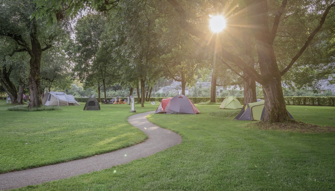 Die Sonne scheint durch Bäume oberhalb von Zelten auf dem Campingplatz Eichholz