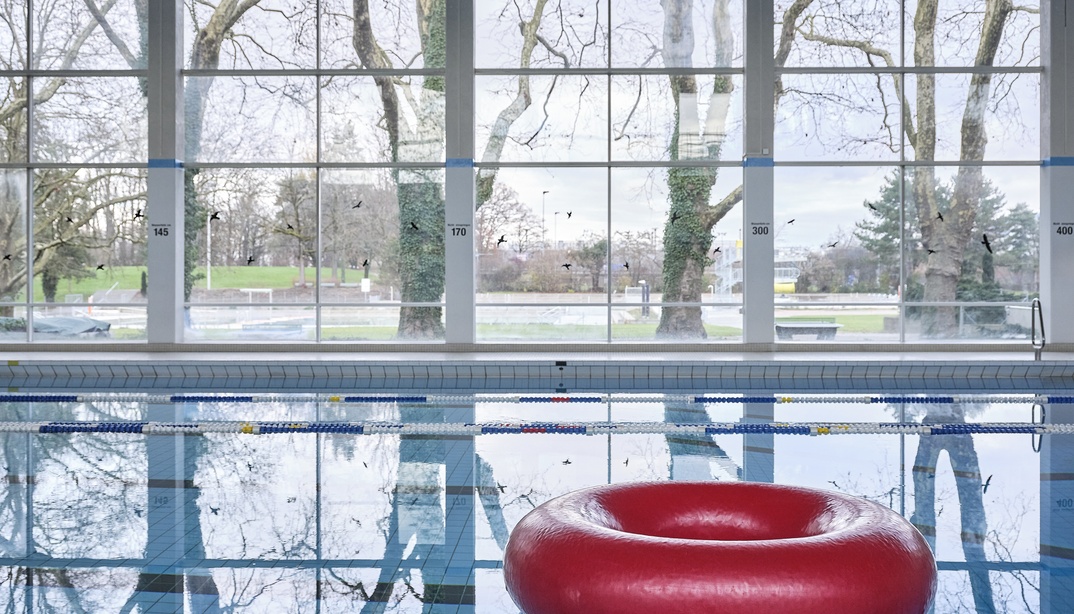 Roter Schwimmreifen im 50m-Schwimmbecken des Hallenbads Wyler