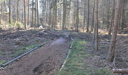 Finnenbahn wird saniert