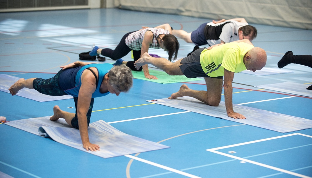 Männer und Frauen machen Yoga auf einer Yogamatte in einer Turnhalle an der AktivPLUS-Woche