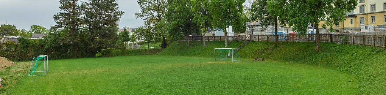 Schulrasenfeld Bitzius