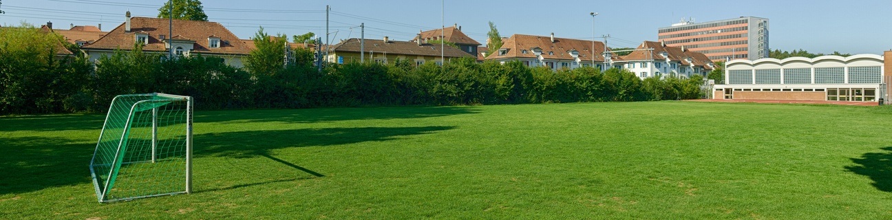 Schulrasenfeld Fischermätteli