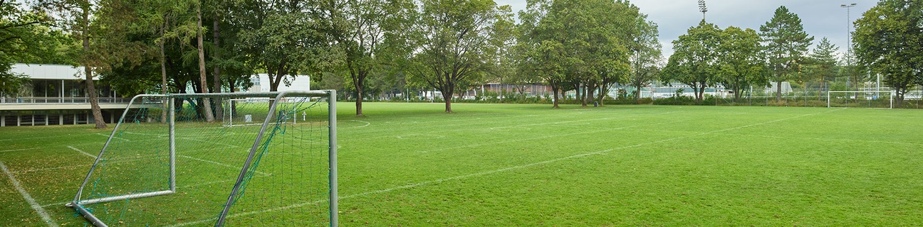 Schulrasenfeld Gymnasium Neufeld