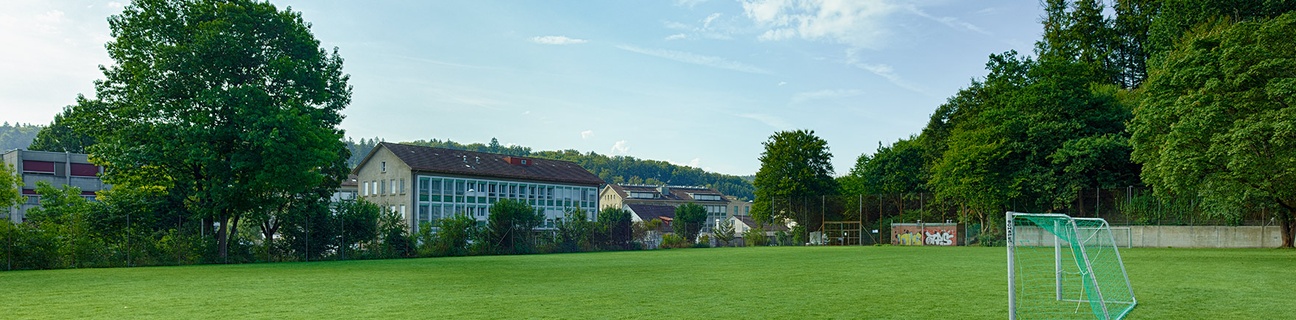 Schulrasenfeld Kleefeld