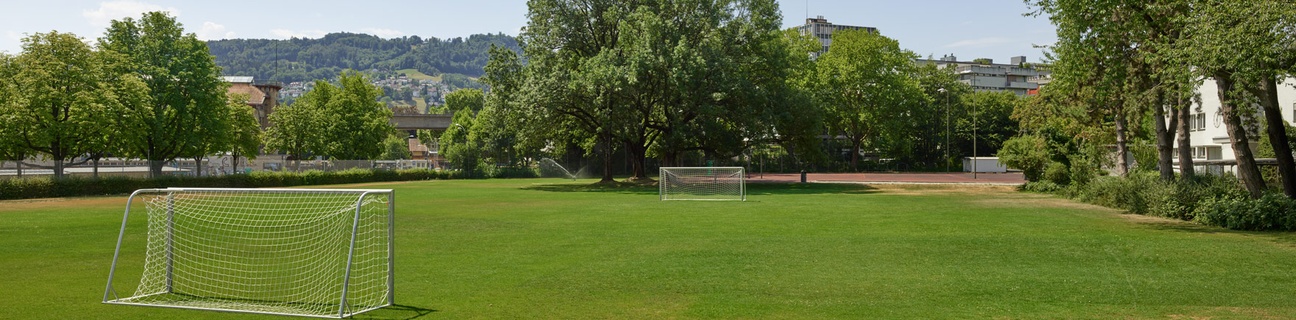Schulrasenfeld Marzili