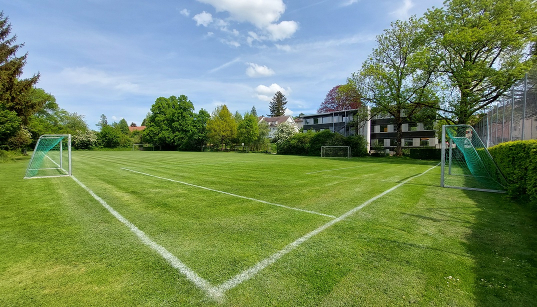 Schulrasenfeld Wyssloch