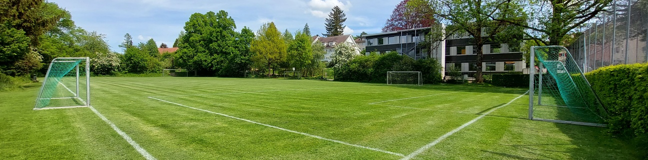 Schulrasenfeld Wyssloch