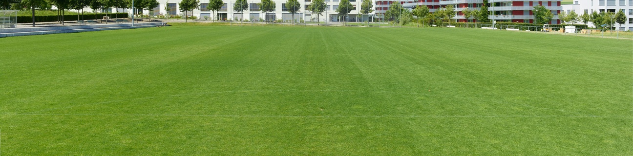 Sportplatz Brünnen