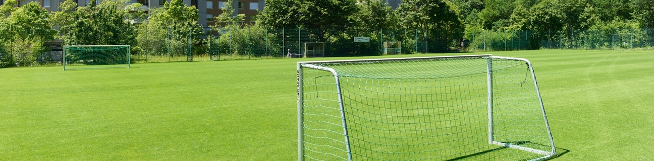 Sportplatz Holenacker