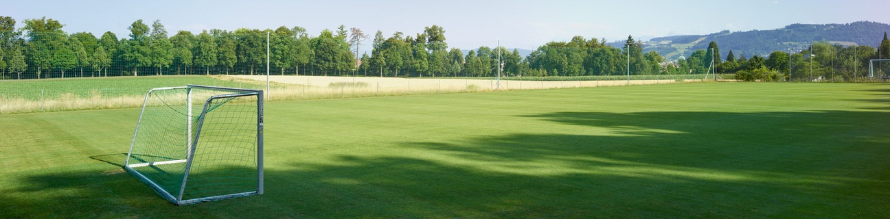 Sportplatz Viererfeld