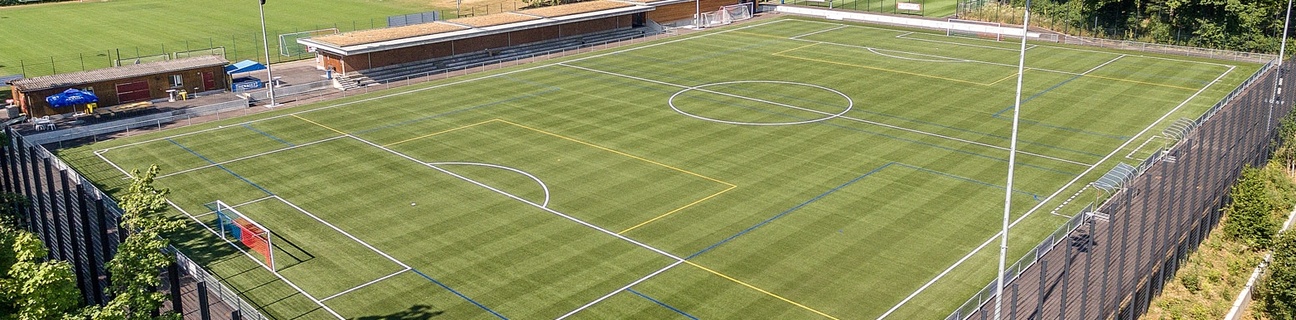 Sportplatz Wyler